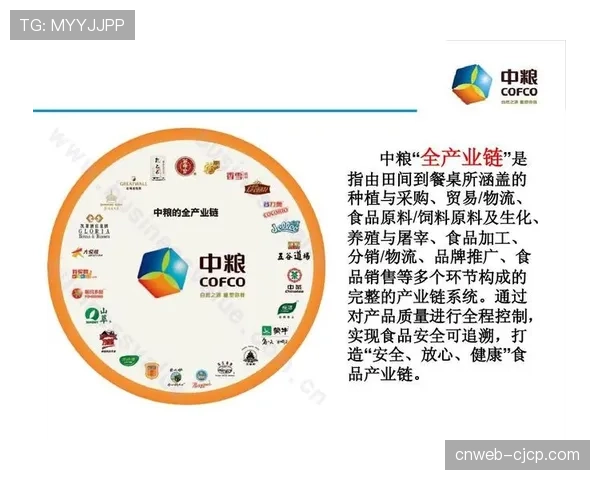 西甲俱乐部债务危机化解路径分析：资产变现与长期战略规划的成功案例